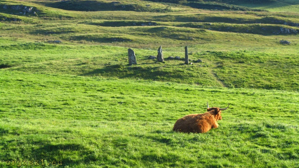 Krąg kamienny w pobliżu zamku Glengorm