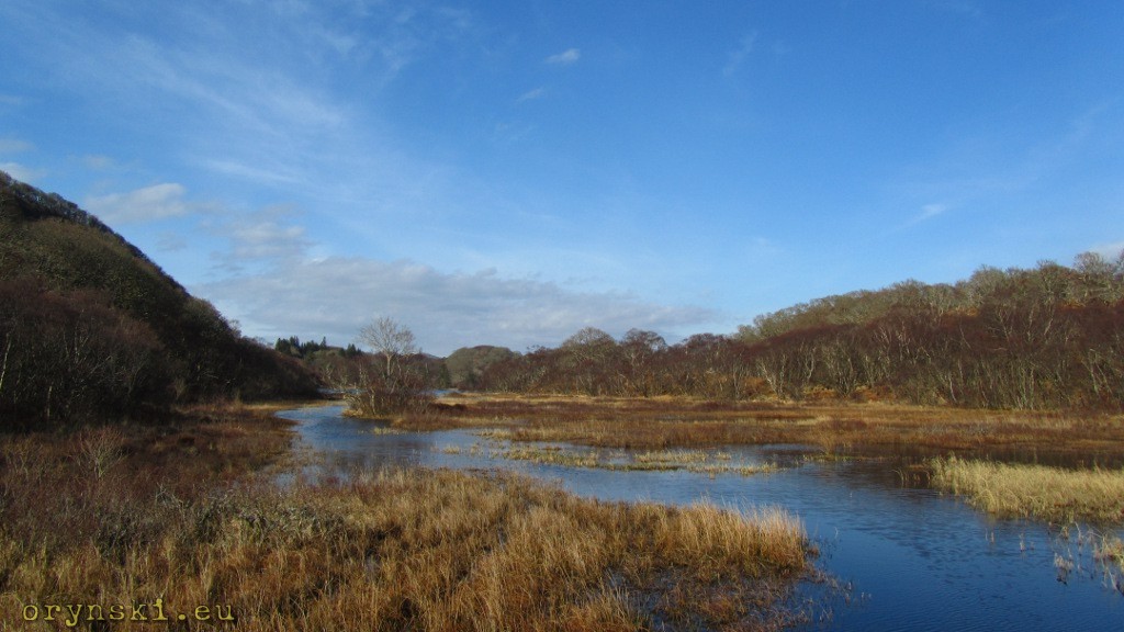 Taynish Nature Reserve