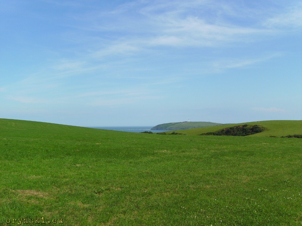 W drodze na Mull of Galloway (fot. Magdalena Walicka)